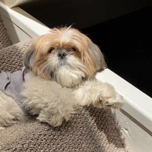 Meet your Posher, Adisyn